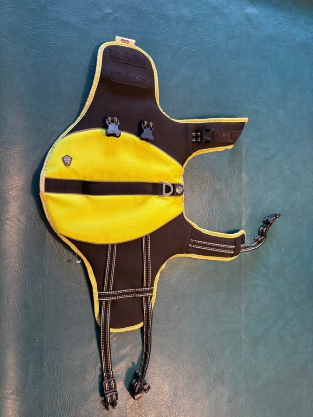 Arcadia trails Dog puppy Life Jacket preserver swimming boating water pet small